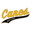 Evoshield Canes Arizona Sticker / Car Decal