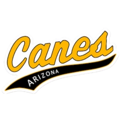 Evoshield Canes Arizona Sticker / Car Decal