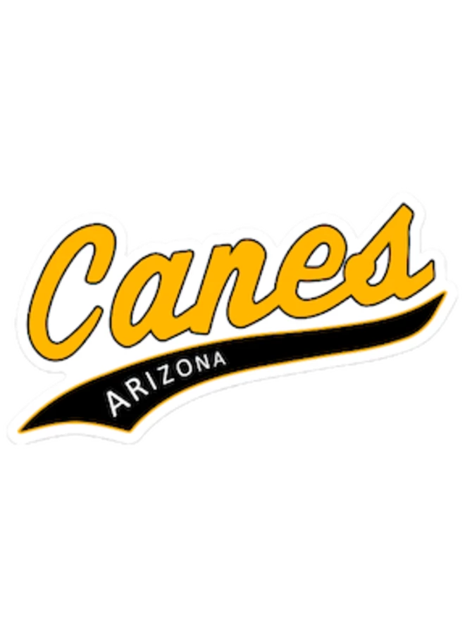 Evoshield Canes Arizona Sticker / Car Decal 3 Evoshield Canes Arizona Sticker / Car Decal