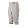 Mizuno Premier Short Pant Grey -EvoShield shop mizuno mizuno premier short pant