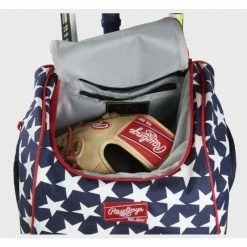 Rawlings Legion Backpack Black -EvoShield shop rawlings rawlings legion backpack 6