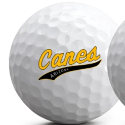 Vice Golf Pro Plus Ball - Canes (Dozen)